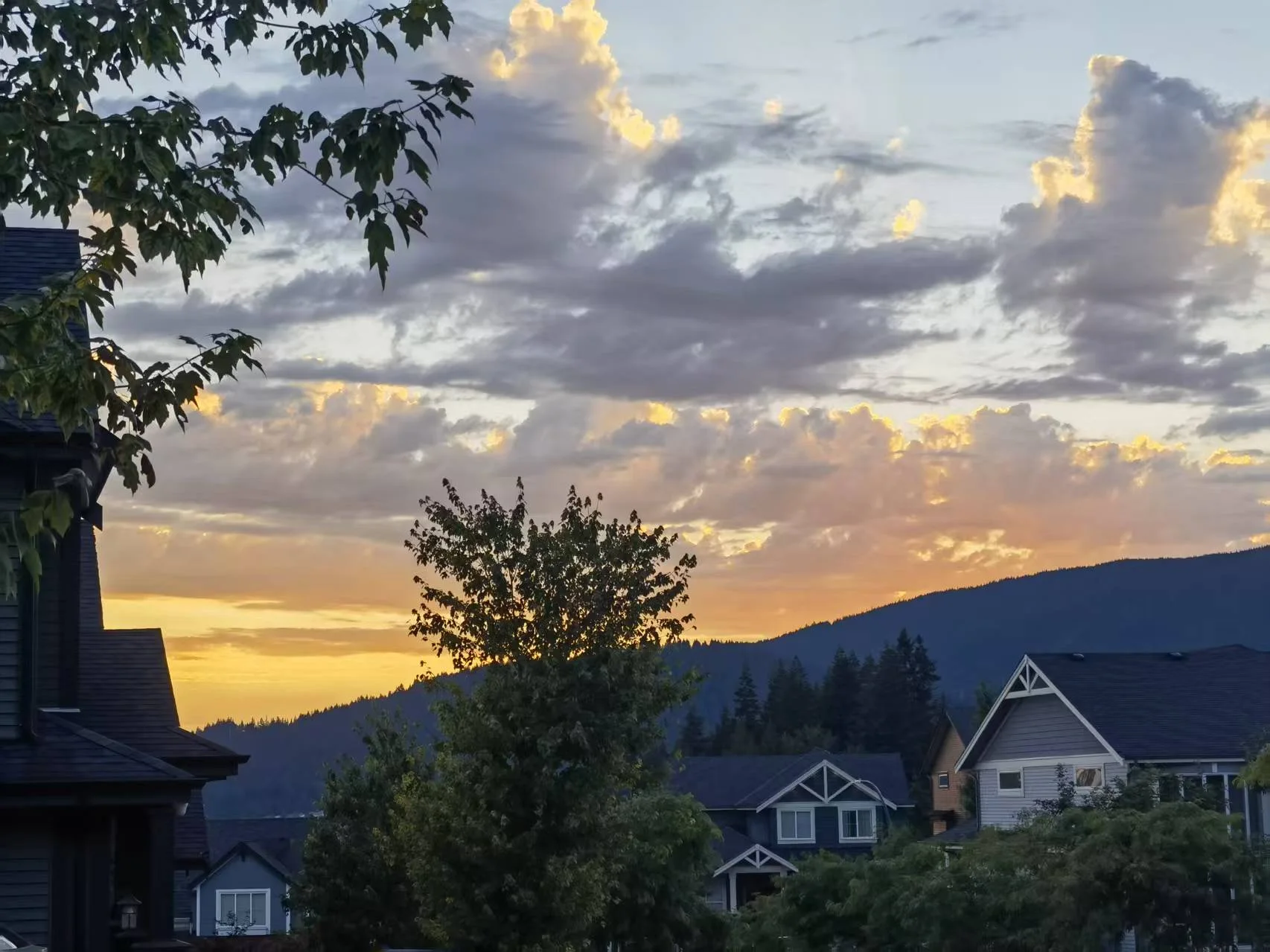 Evening light above rooftops